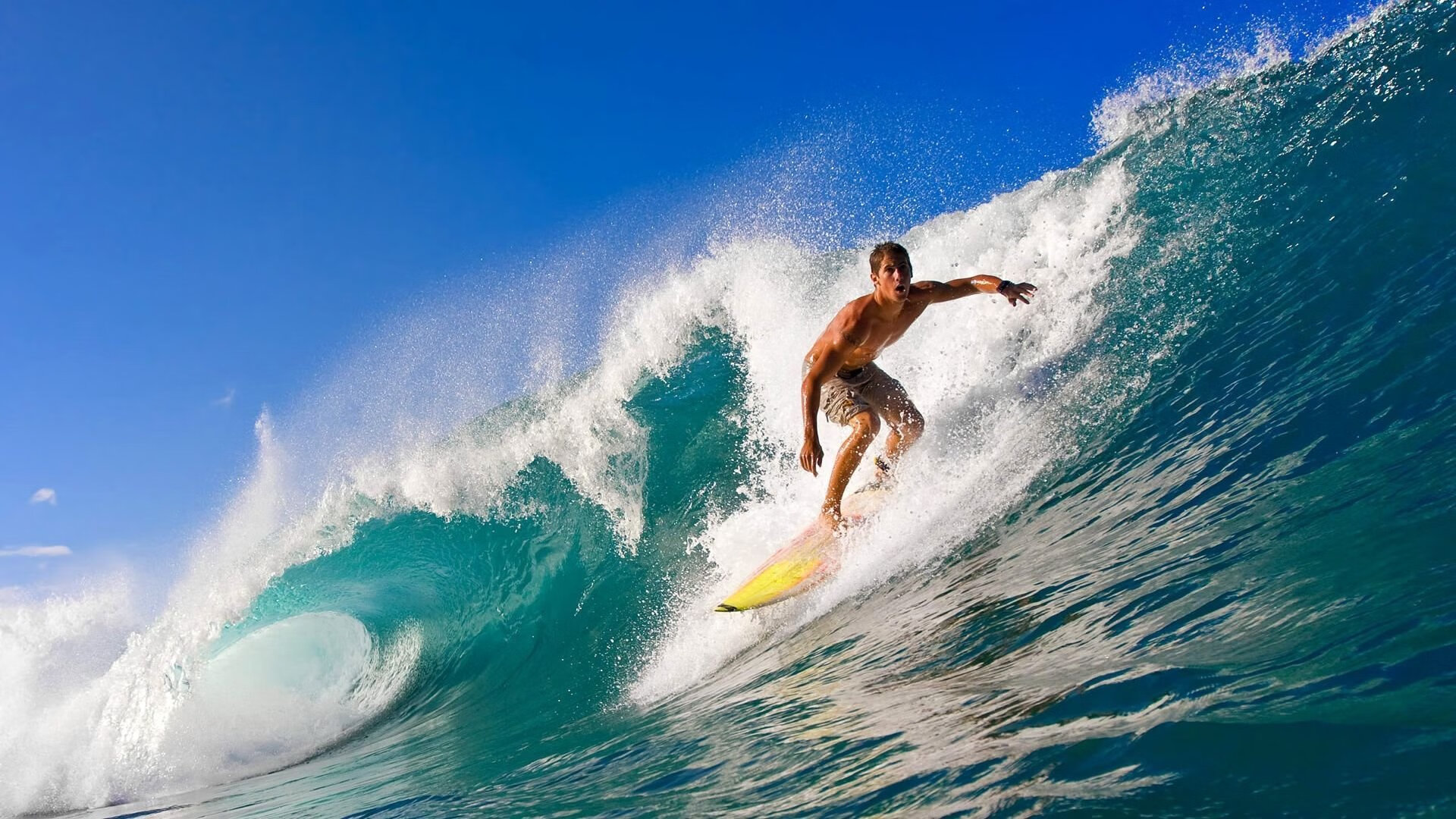 双城记，当篮球绝杀遇见赛道狂飙—上海队与武切维奇的最后一分钟奇迹